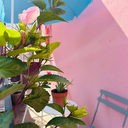 Homestay szállás Boogaloo House The Pink Setúbal